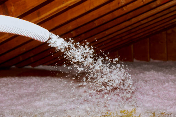 Best Wall Insulation Contractor  in Englewood Cliffs, NJ